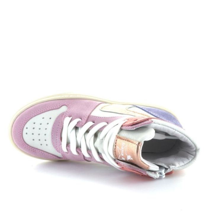 hoge sneaker rame