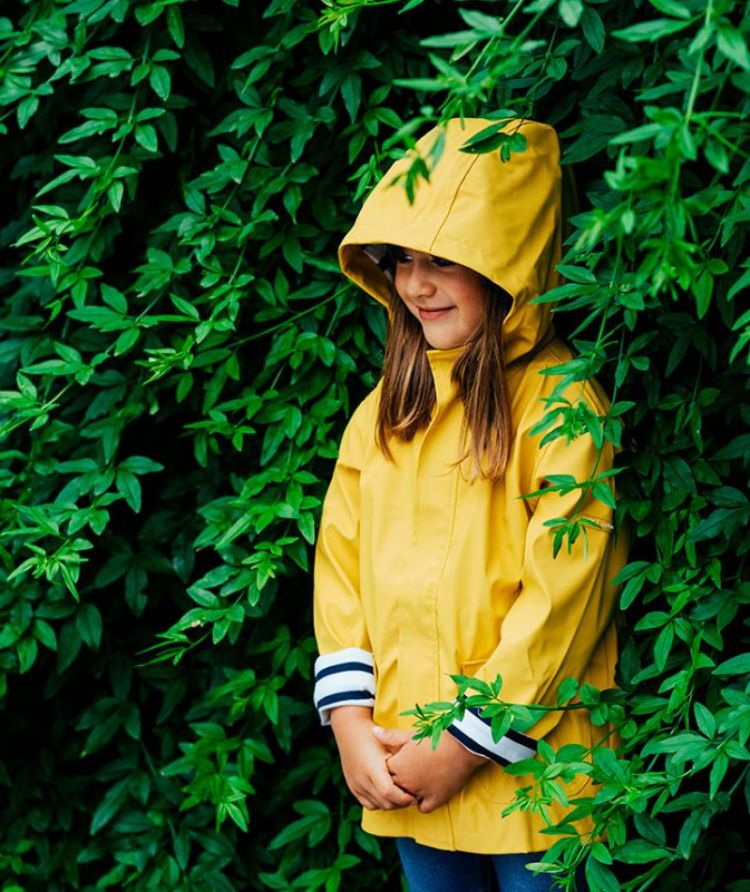 euri amarillo