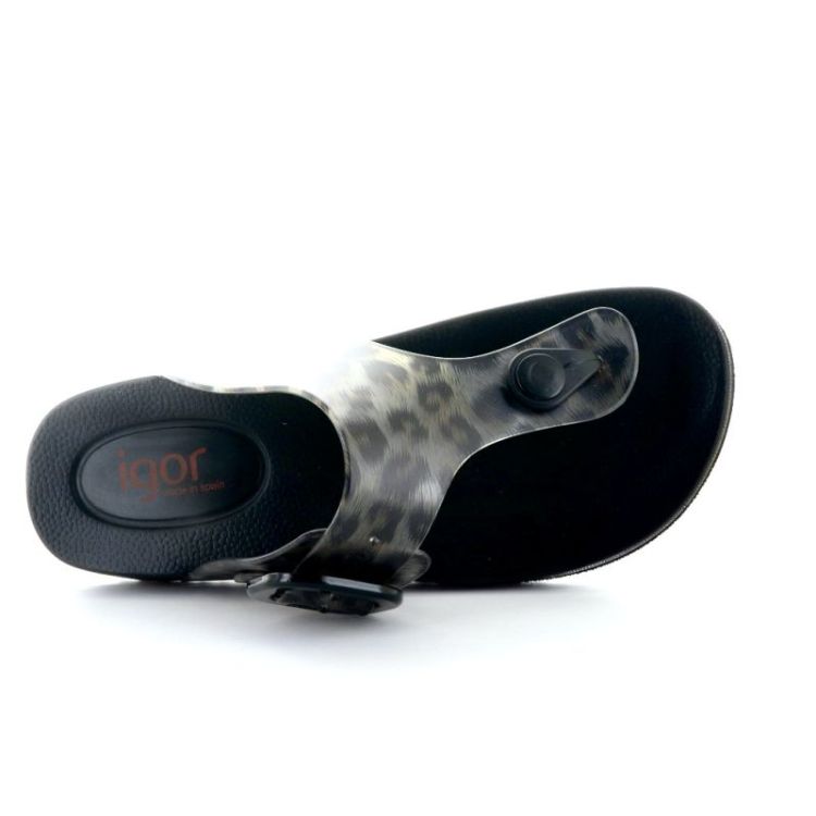 havana glans leo negro