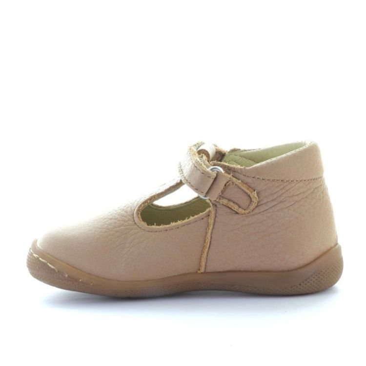 open pre-steps camel