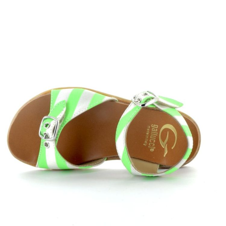 open sandaal verde bianco