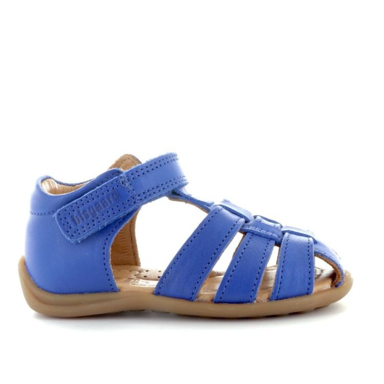 carly blue