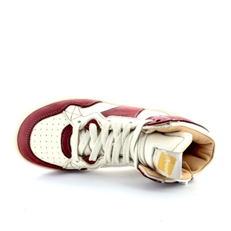 hoge sneaker rubino