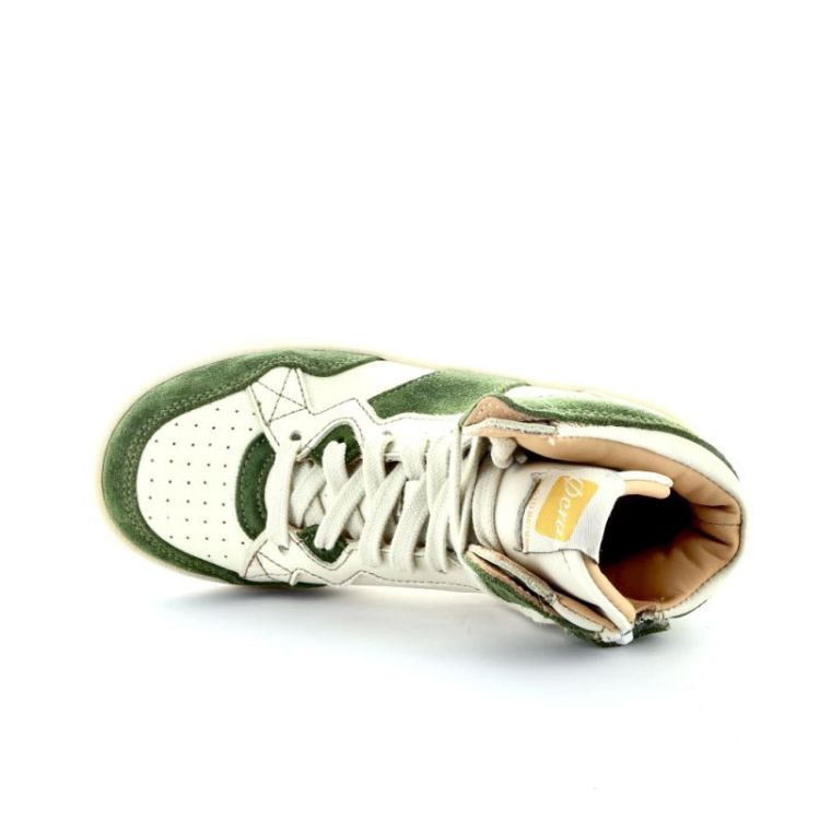 hoge sneaker army alga